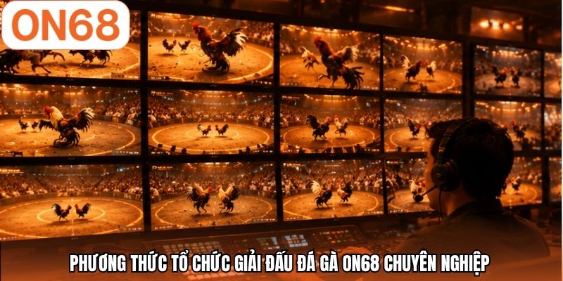 Phương thức tổ chức giải đấu đá gà ON68 chuyên nghiệp 