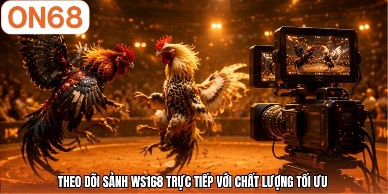 Theo dõi sảnh WS168 trực tiếp với chất lượng tối ưu