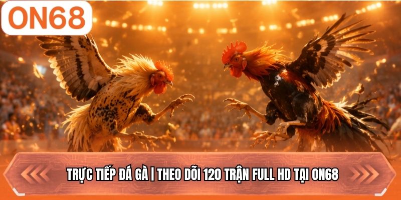 Trực Tiếp Đá Gà | Theo Dõi 120 Trận Full HD Tại ON68