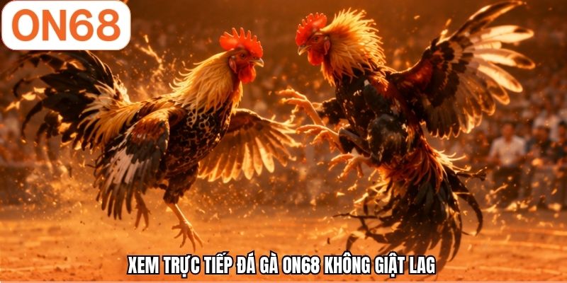 Xem trực tiếp đá gà ON68 không giật lag 